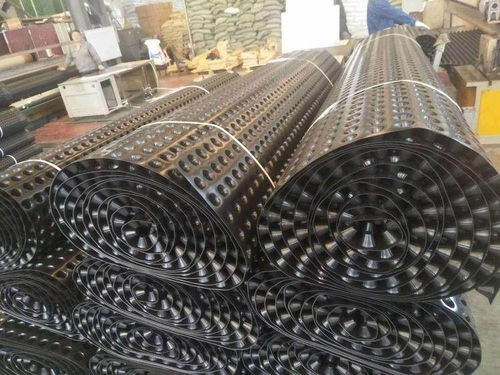 廣東揭陽(yáng)蓄排水板報(bào)價(jià)聚酯無(wú)紡布過(guò)濾層廠家原產(chǎn)地生產(chǎn)